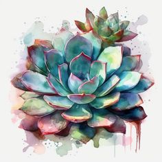 a watercolor painting of a succulent