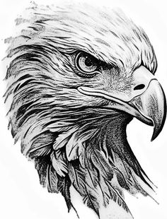 an eagle's head is shown in this black and white drawing by artist mark stewart