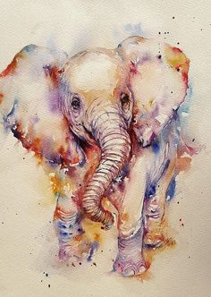 an elephant painted in watercolor on paper