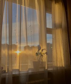 the sun shines through sheer curtains in front of a window with potted plants