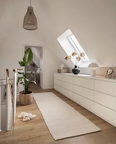 a room with white walls and wooden flooring next to a large rug on the floor