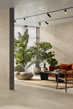 a living room filled with furniture and plants