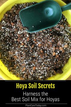 a yellow bowl filled with dirt next to a green plastic spoon and text that reads hoya soil secrets harness the best soil mix for hoyas