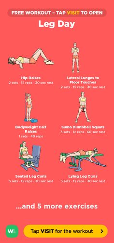 NA Workout Leg Day, Workoutlabs Fit, Legs Exercise, Gym Routines, Seated Leg Curl, Lying Leg Curls, Leg Day Workout, Leg Routine, Workout Labs