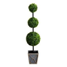 three topiary balls in a pot on a white background