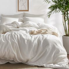 an unmade bed with white linens and pillows in a bright room next to a potted plant