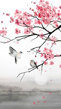 two birds are sitting on the branch of a cherry blossom tree