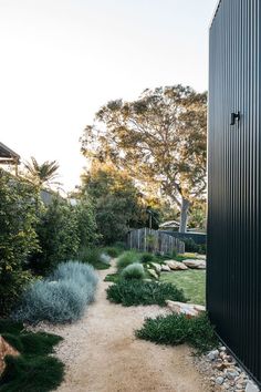 s://www.figlandscapes.com.au/sydneylandscaping/woolooware/ Australian Garden Design, Australian Native Garden, Contemporary Garden Design, Australian Garden, Coastal Gardens, Have Inspiration, Backyard Inspo, Native Garden, Garden Landscape Design