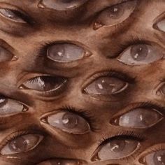 an image of many different eyes with one eye opened and the other open showing it's eyelashes