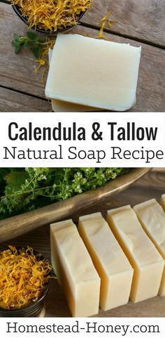 caledal and tallow soap recipe with text overlay