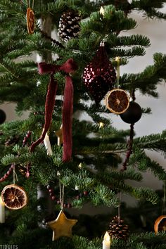 a christmas tree with ornaments hanging from it