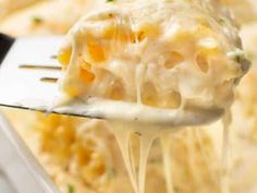 a fork full of macaroni and cheese being lifted from the casserole dish