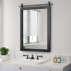 a bathroom sink with a mirror above it and a potted plant on the counter