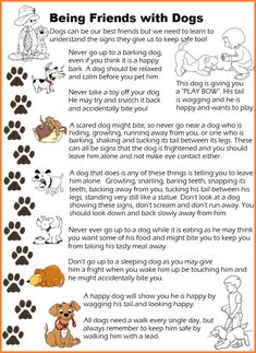 a dog's paw printout with the words being friends with dogs