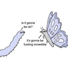 a butterfly and a worm are facing each other in opposite directions, with the caption is it gona be ok?