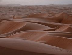 sand dunes in the desert at dusk