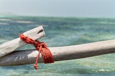 a piece of driftwood tied to a wooden post in the ocean