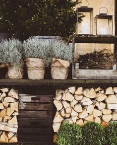 several pots with plants are on top of a shelf next to firewood and lanterns