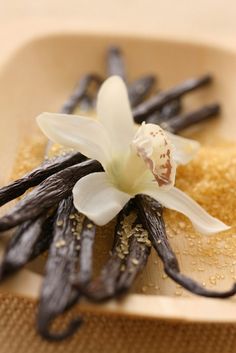 an orchid is placed on top of some vanilla sticks and sugar in a bowl with other items around it