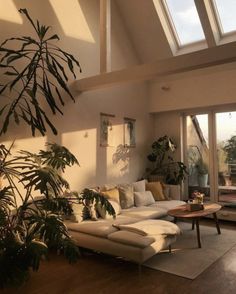 a living room filled with lots of furniture and plants on top of wooden flooring