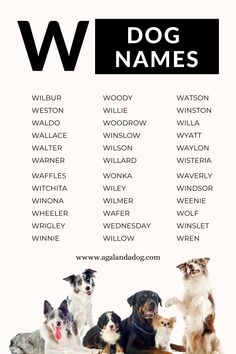 List of W Dog Names. Female Dog Names, Boy Dog