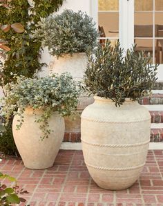 two large vases with plants in them sitting on the side of a brick walkway