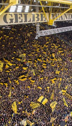 a large group of people holding flags and banners in a stadium with the words geibeland on it