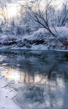 the water is frozen and there are trees in the background