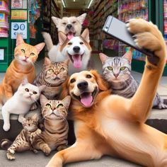 there are many cats and dogs together in this photo with the dog taking a selfie