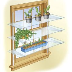 a shelf with plants growing inside of it