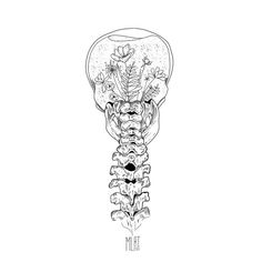 a black and white drawing of a skeleton with flowers in it's ribcage