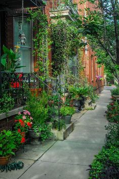 an alley way with lots of plants and flowers on the sidewalk in front of houses