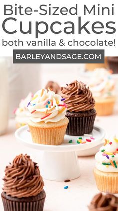 chocolate cupcakes with white frosting and sprinkles are on a plate