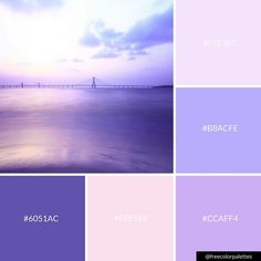 the color palette is purple and pink