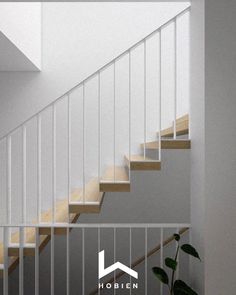 a white stair case with wooden handrails in a room next to a potted plant