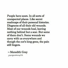 a quote from the book people have scars in all sorts of unexposed places