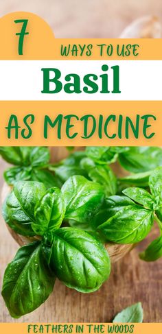 Fresh basil in small container prepared for use medicinally Ways To Use Basil, Fresh Basil Recipes, Basil Tea, Basil Herb