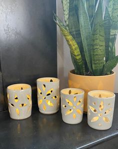 a group of white cups sitting next to a potted plant