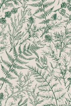 a green and white wallpaper with various plants on the bottom right hand corner,