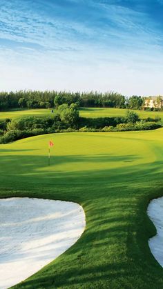 a golf course with green and white sand