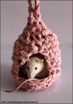 a rat in a pink crocheted hammock that looks like it's coming out of the hole