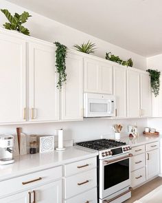 a kitchen with white cabinets and plants on the wall above the stove top, along with an oven