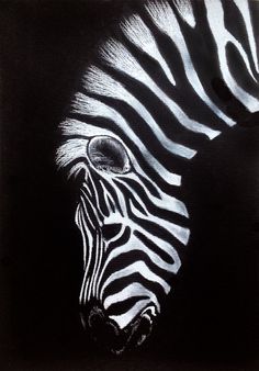 a painting of a zebra's head in black and white with the light shining on it