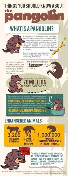 an info poster with different types of animals