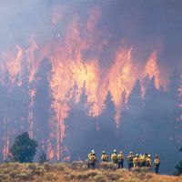 fire fighters stand in front of a bushfire