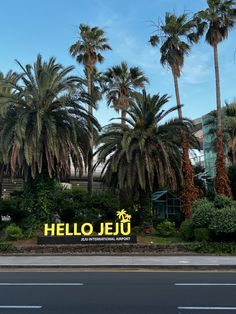 palm trees line the street in front of a building with a sign that says hello