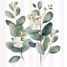 watercolor painting of green leaves on white background