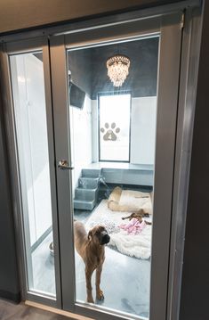 a dog standing in front of a glass door