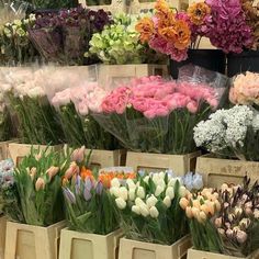 many different types of flowers are on display at the flower shop, including tulips and carnations