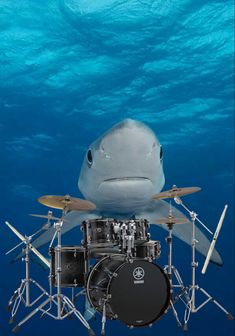 a shark is playing drums under the water with it's head above the drum set